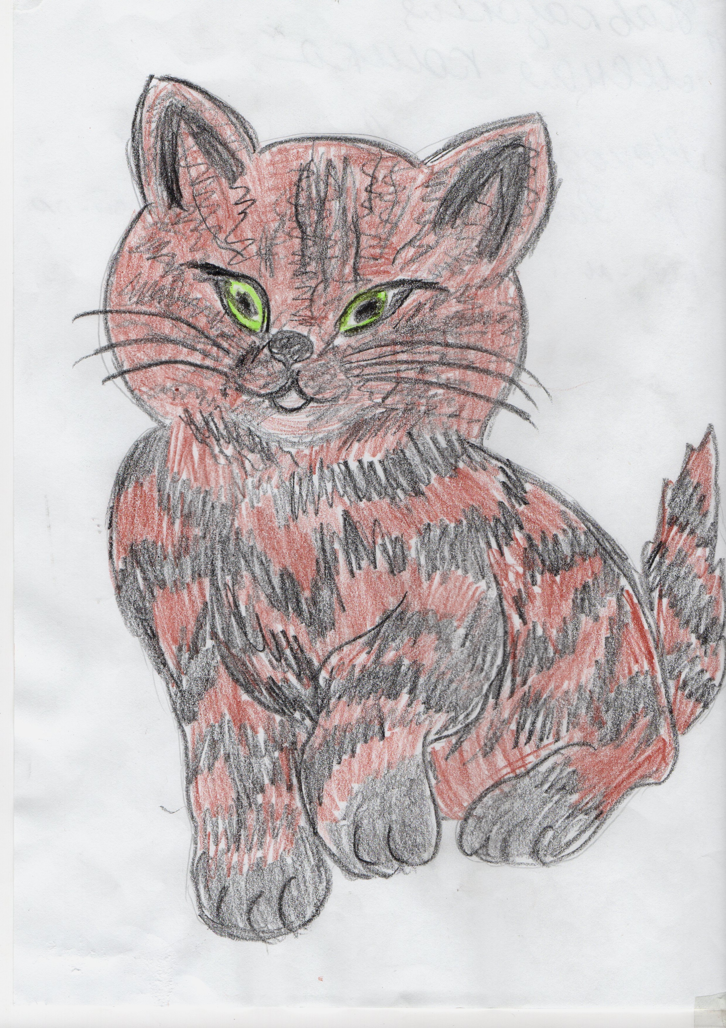 Лесная кошка Лесная кошка