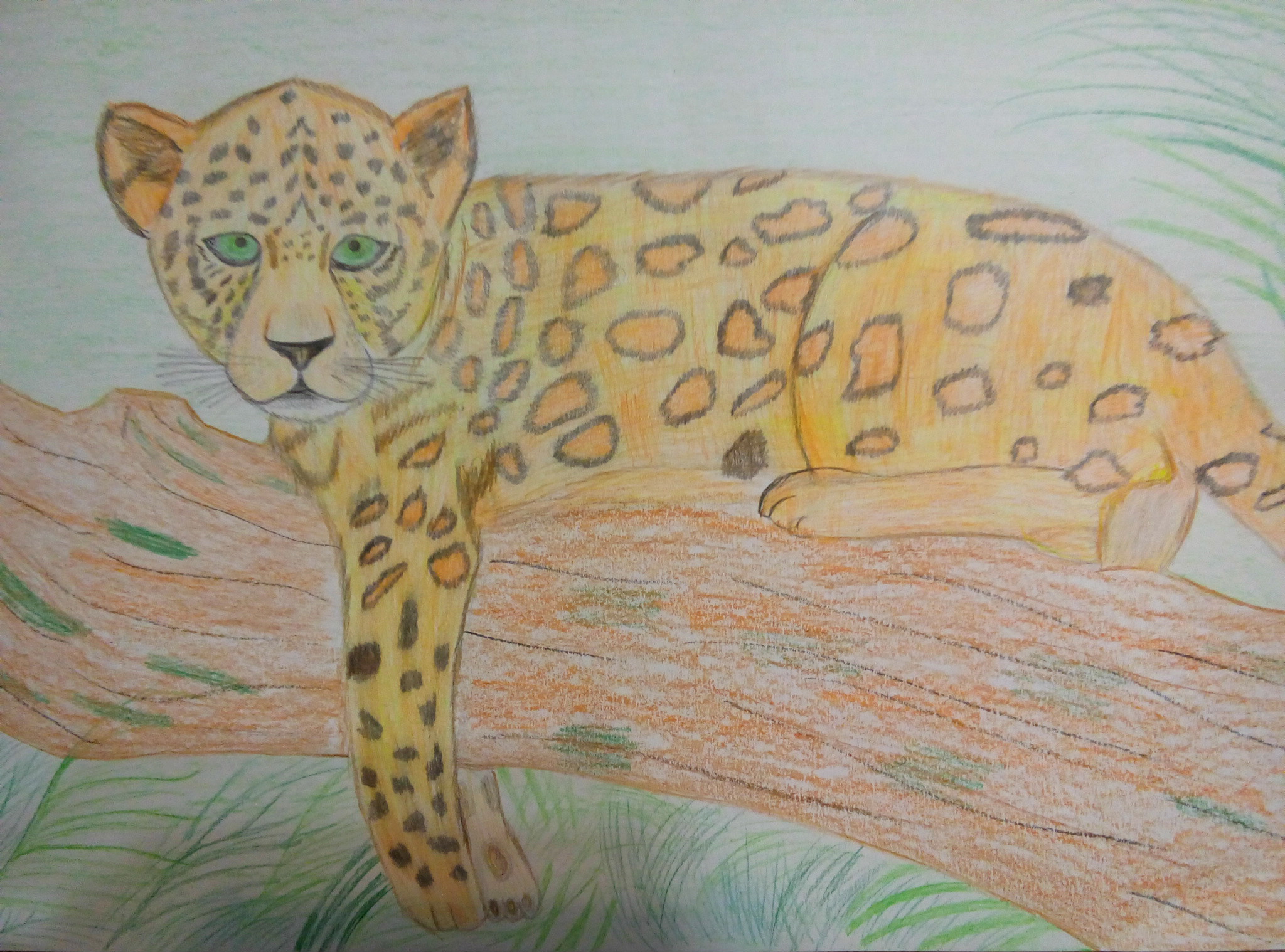 Рисунок леопарда на конкурс
