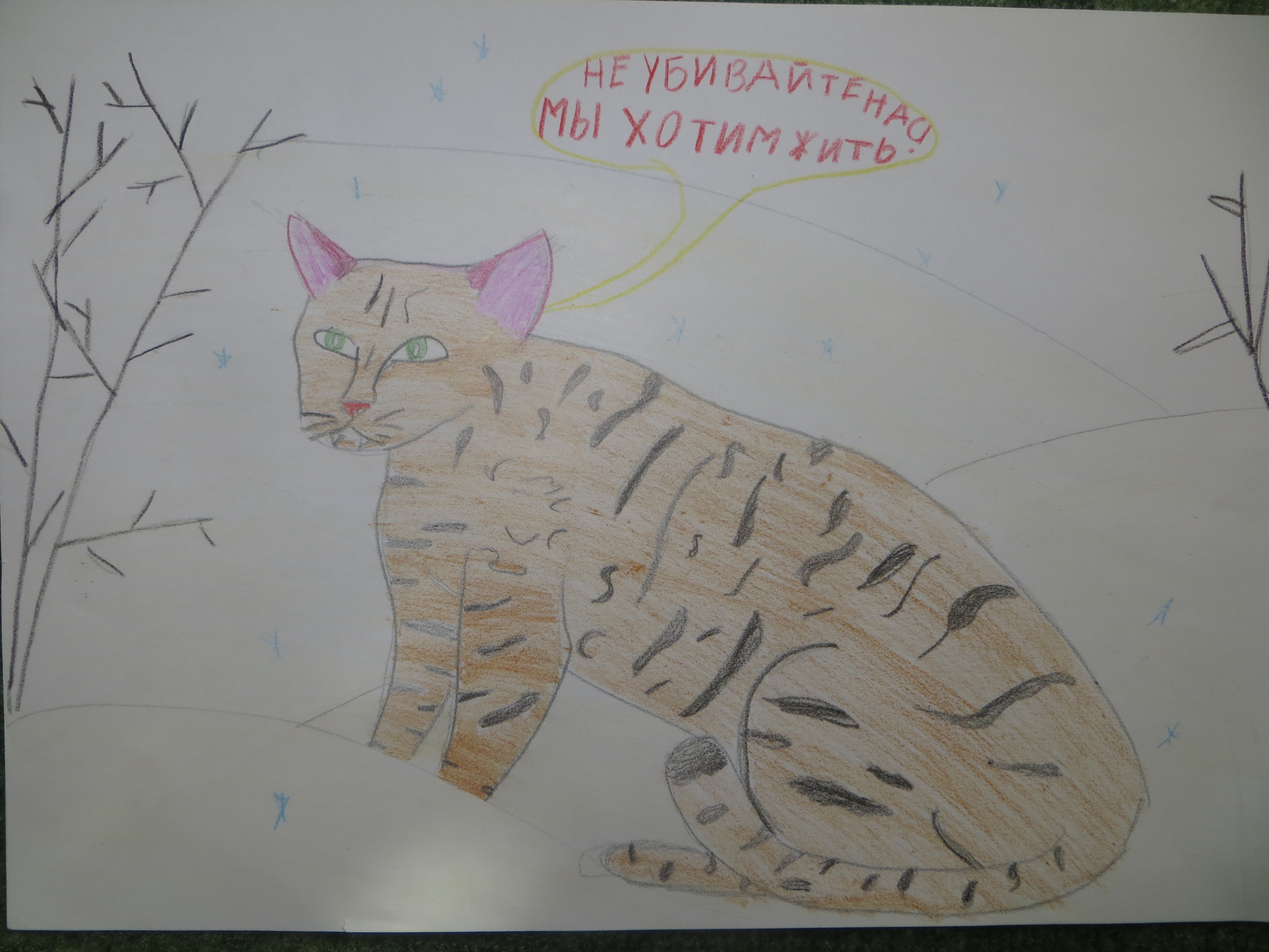 Амурский Лесной кот рисование