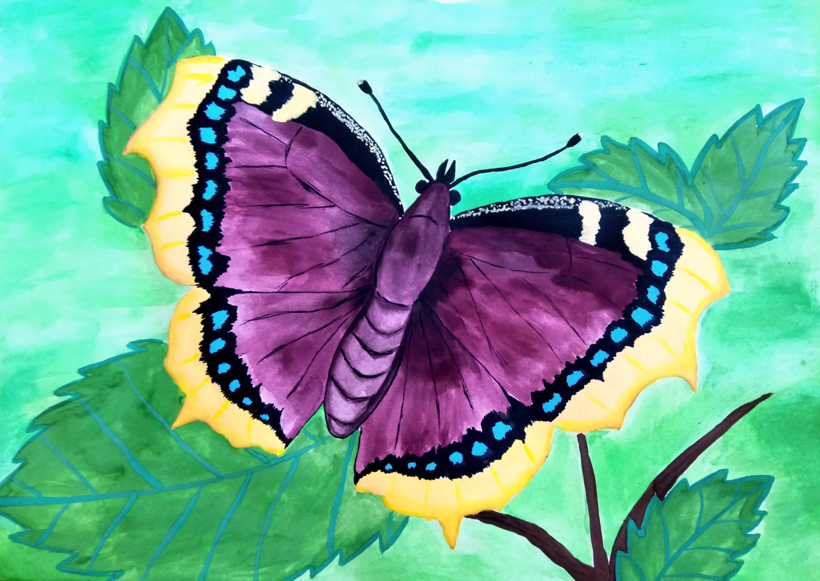 Мир бабочек рисунок. Бабочка гуашью. Бабочка красками. Бабочка рисунок красками. Рисование бабочки красками.
