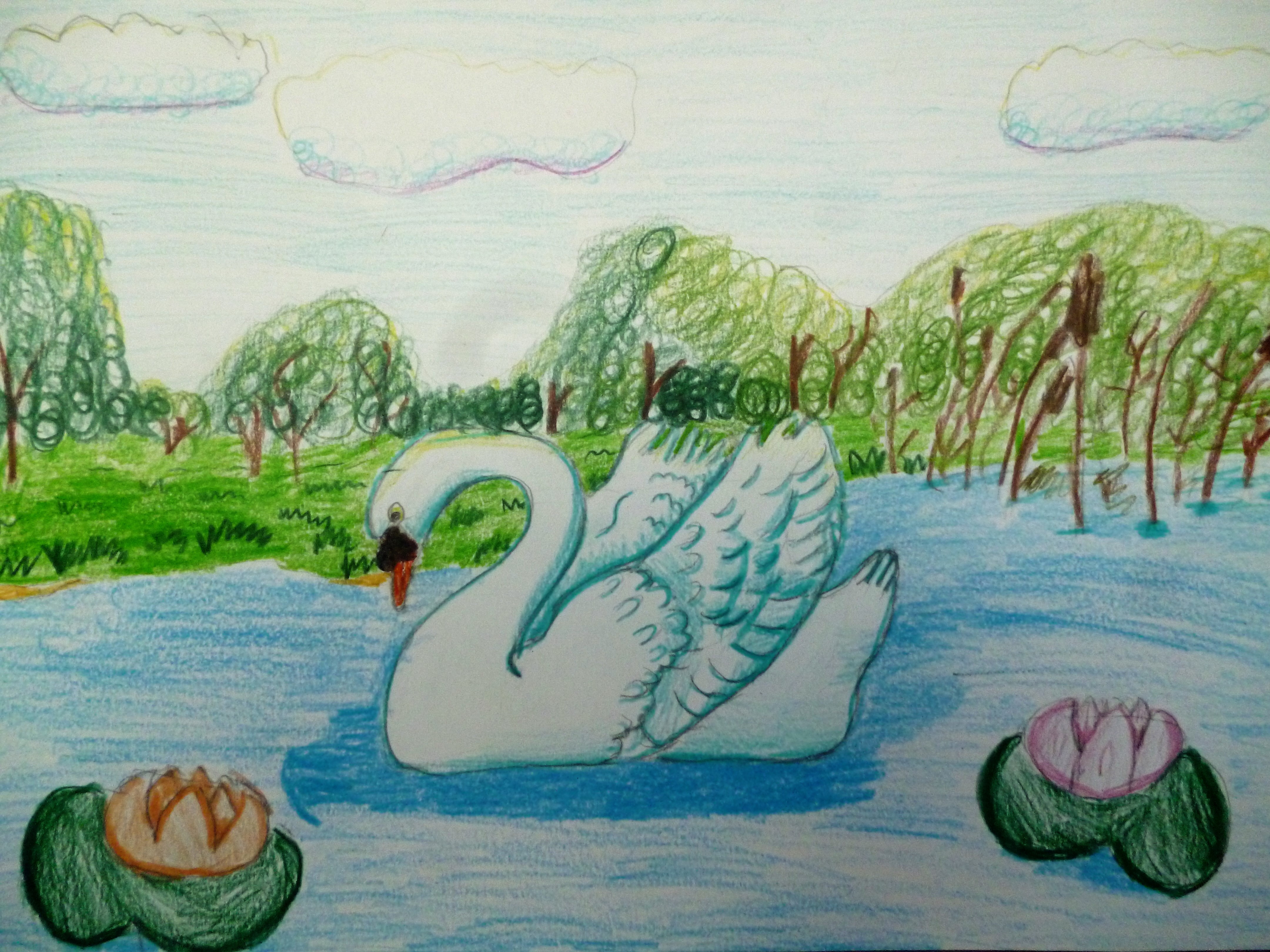 Нарисовать рисунок лебедушка. Рисование лебедя. Лебедь рисунок. Рисование для детей лебедь. Лебедь детский рисунок.