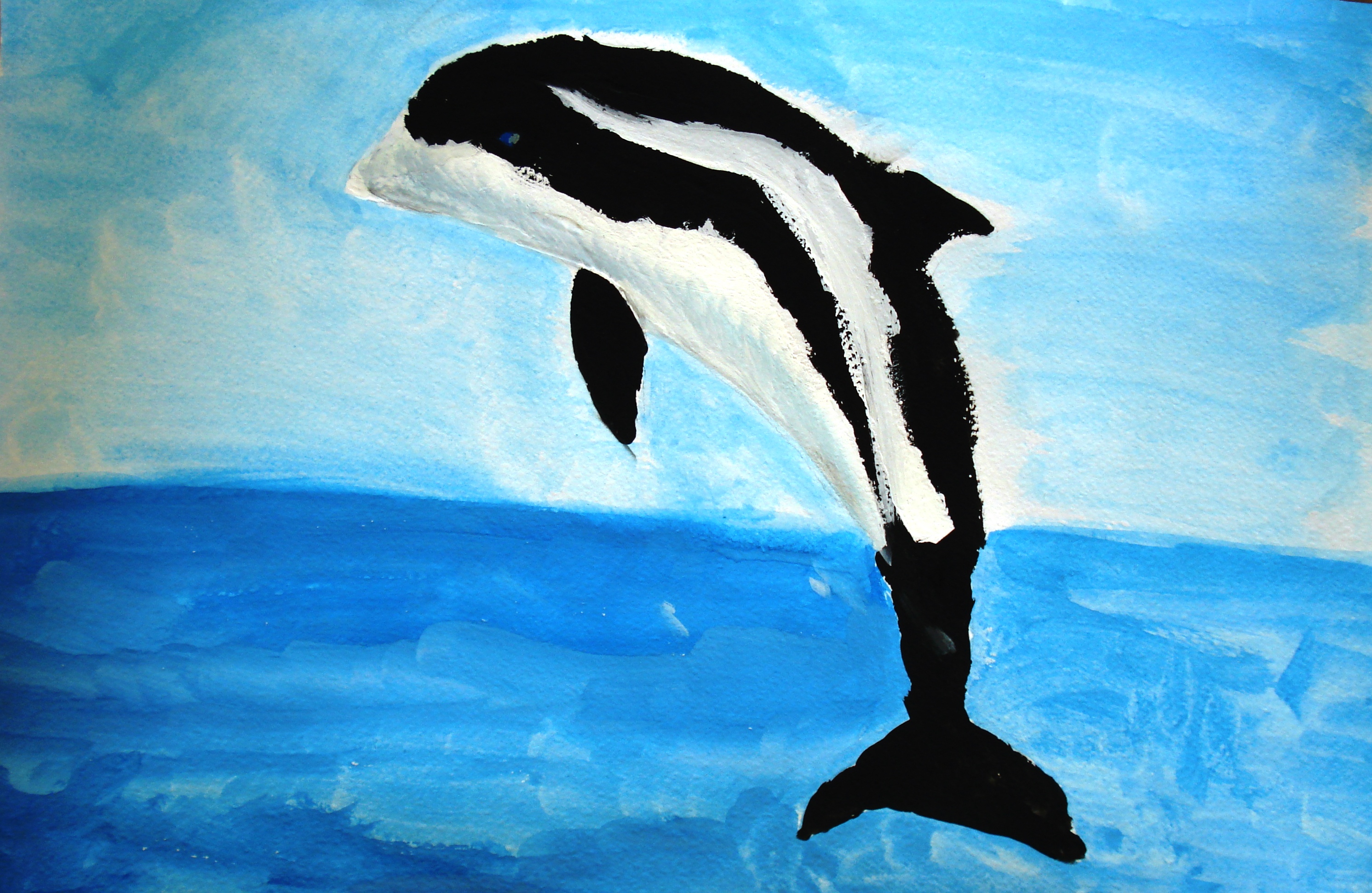 Беломордый Дельфин из красной книги рисунок