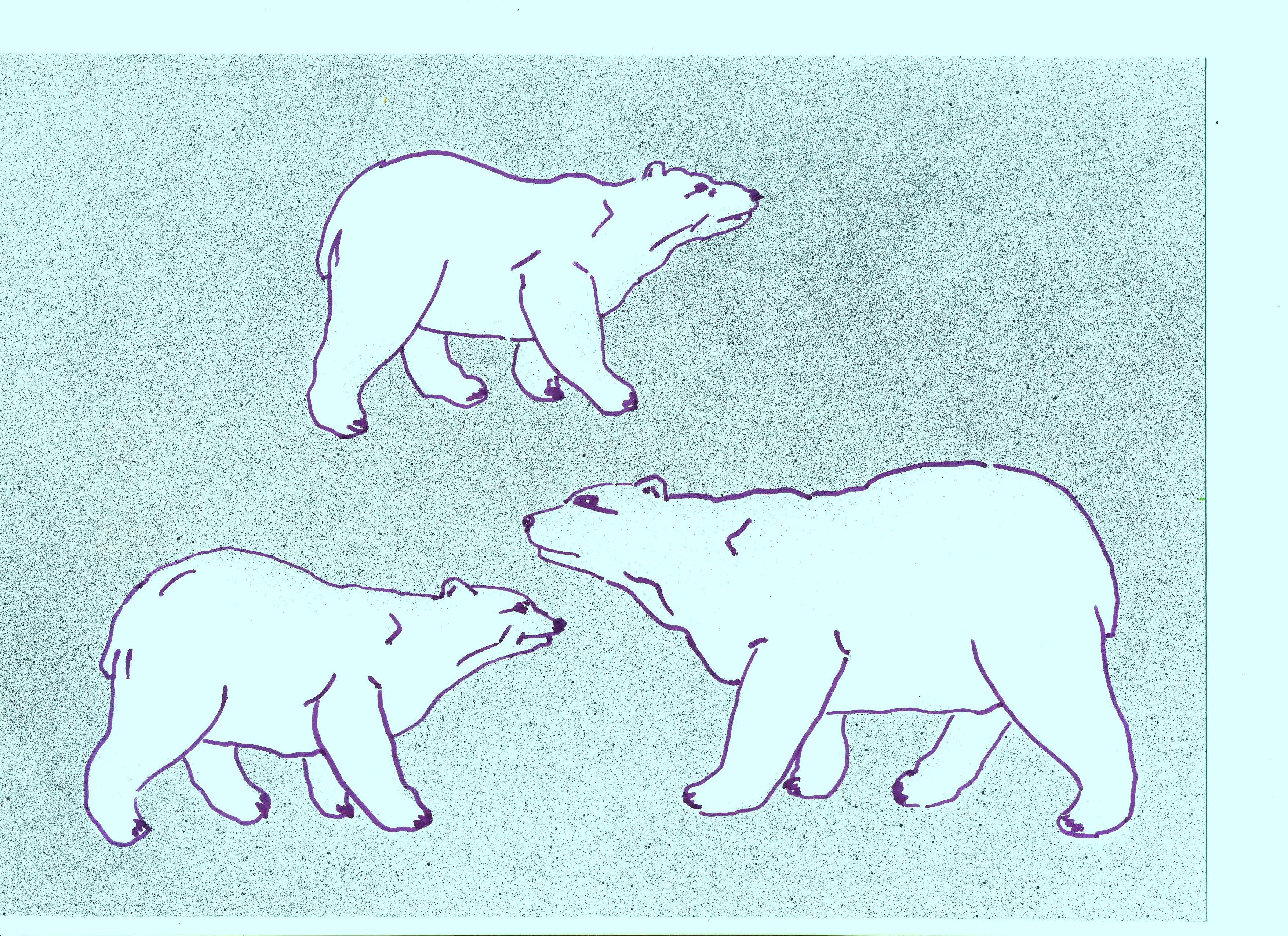 Рисунки северных животных