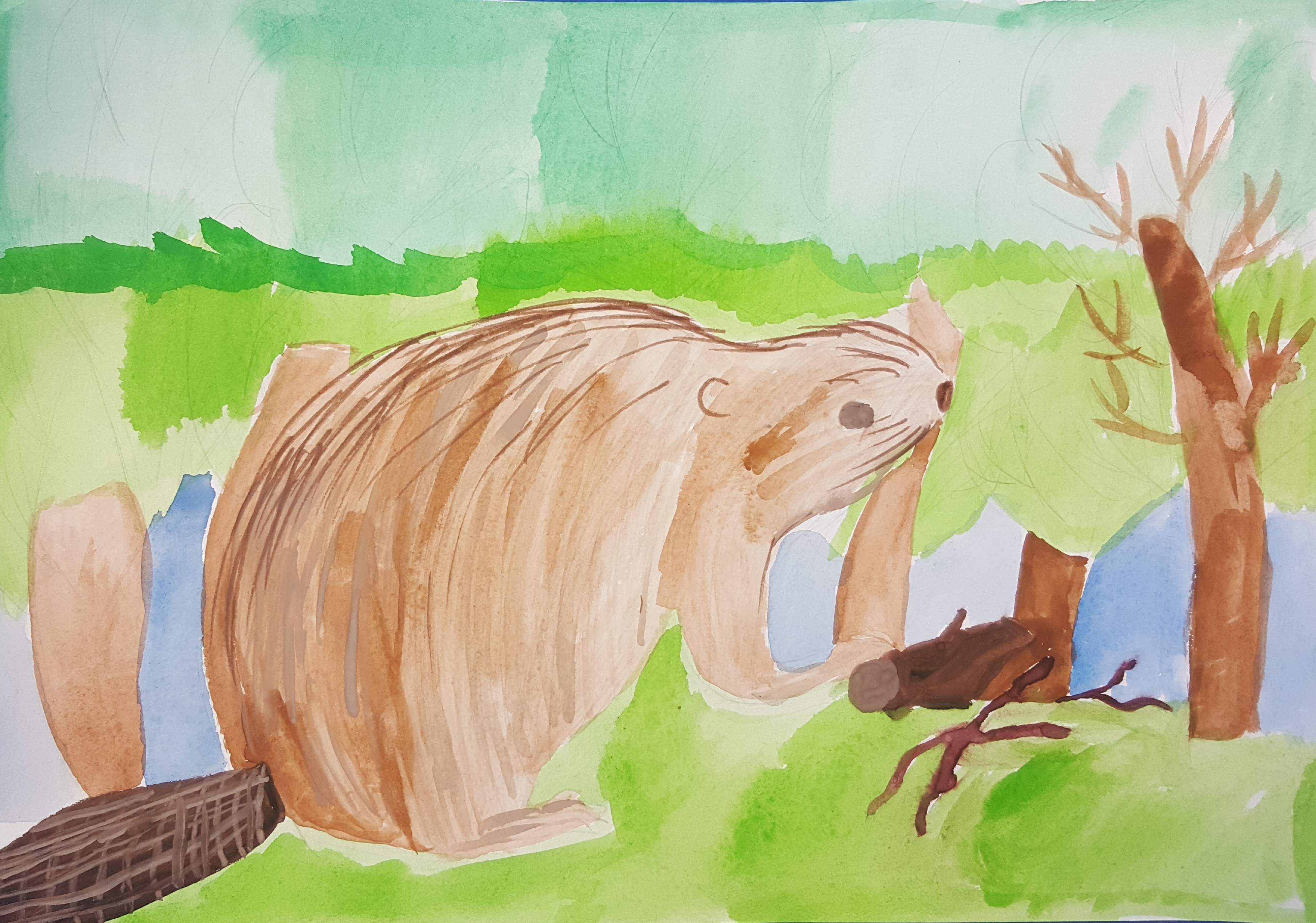 Конкурс рисунков животный мир Бобр