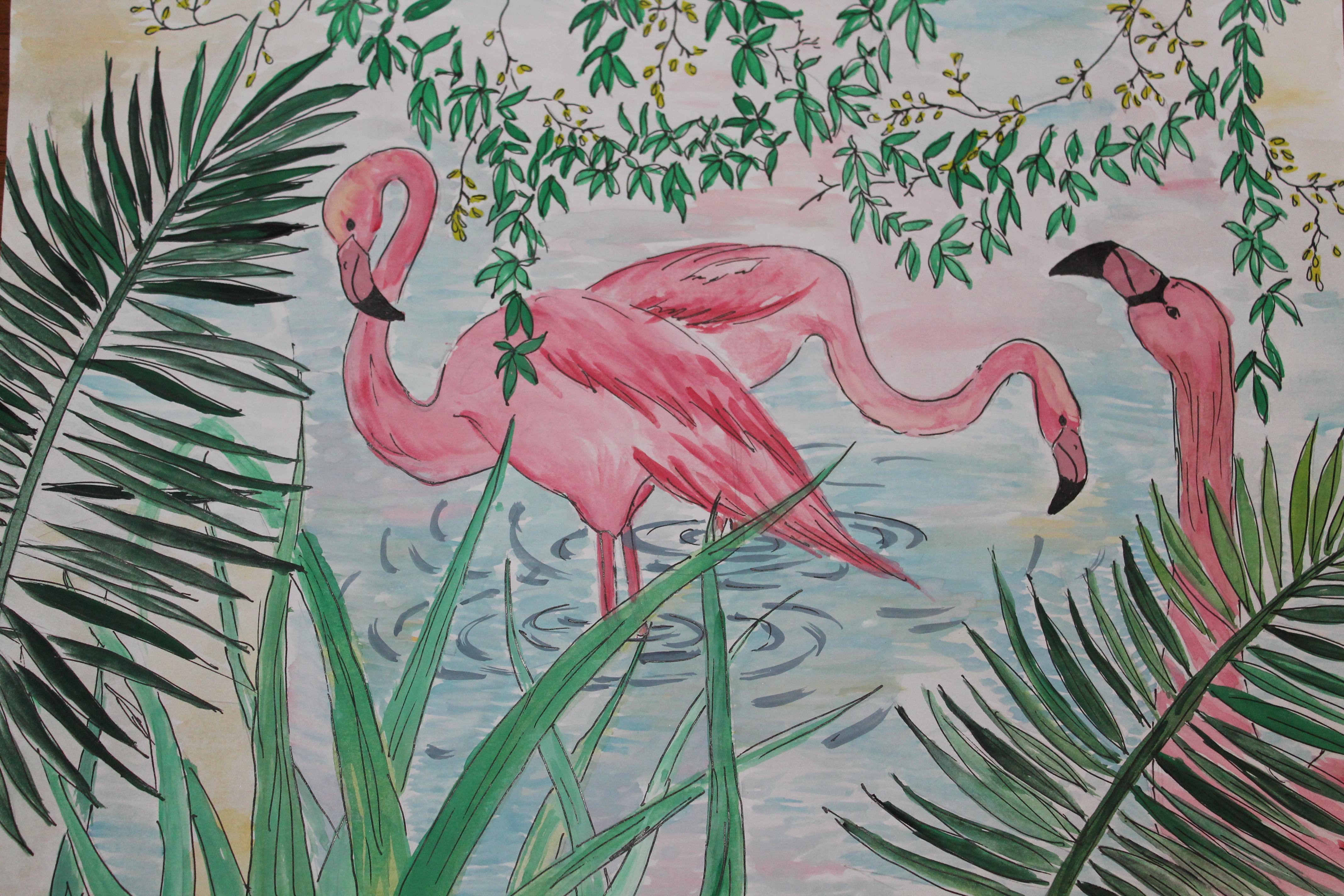 Обыкновенный Фламинго рисунок