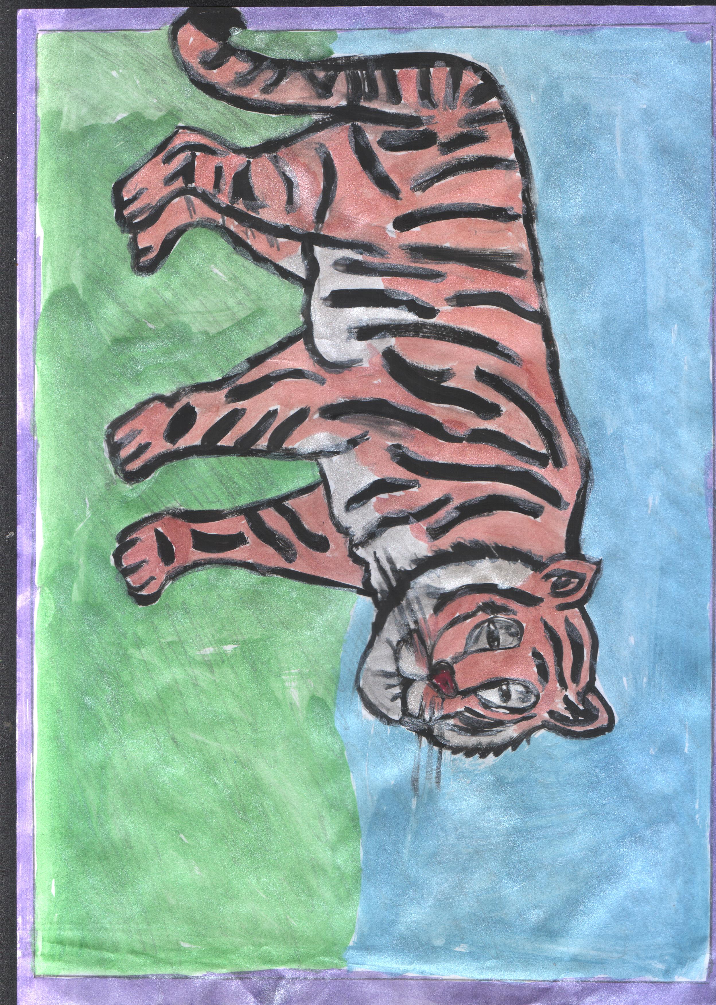Рисование в старшей группе Уссурийский тигр