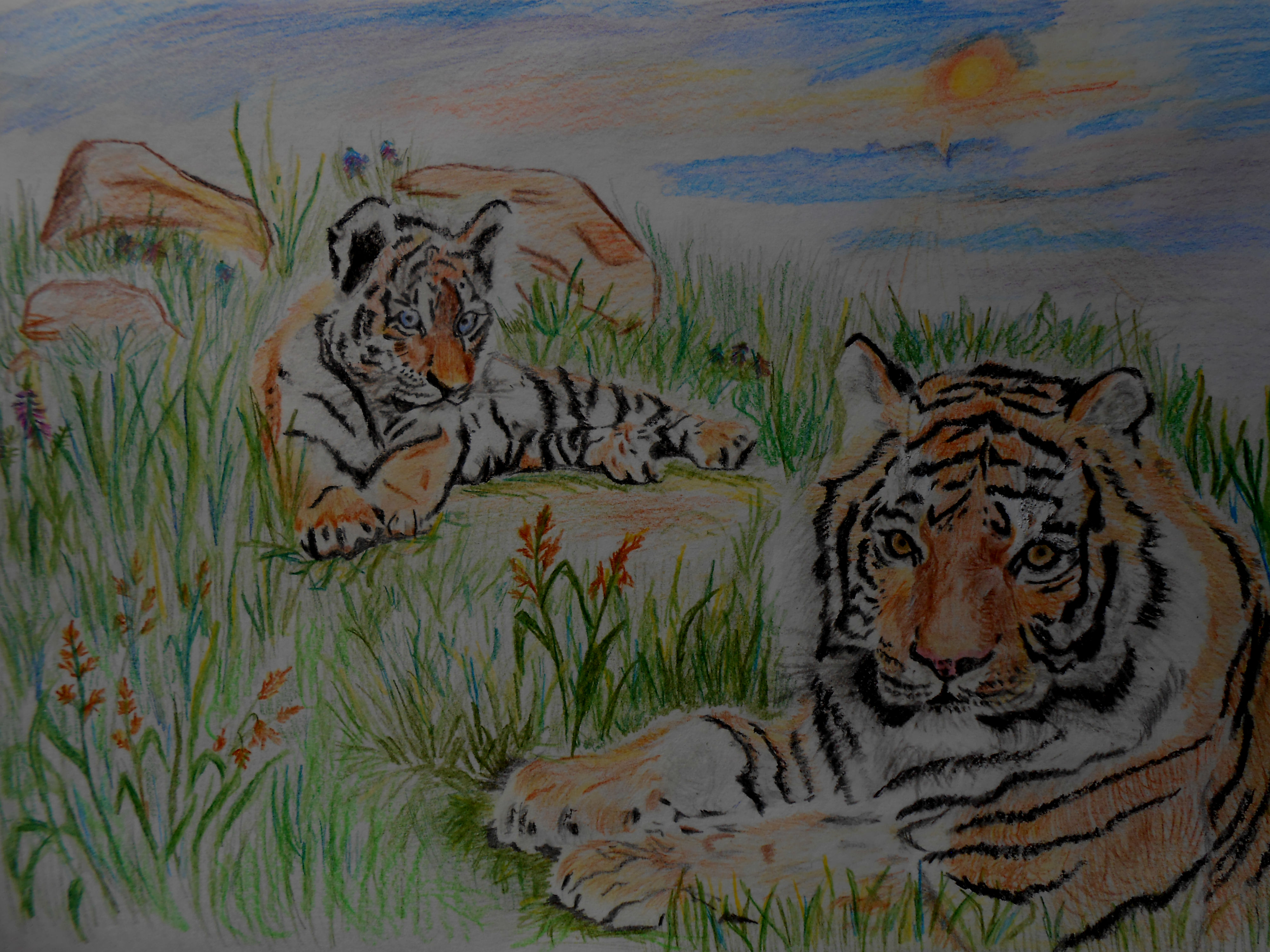 Пейзаж с тигром лёгкий