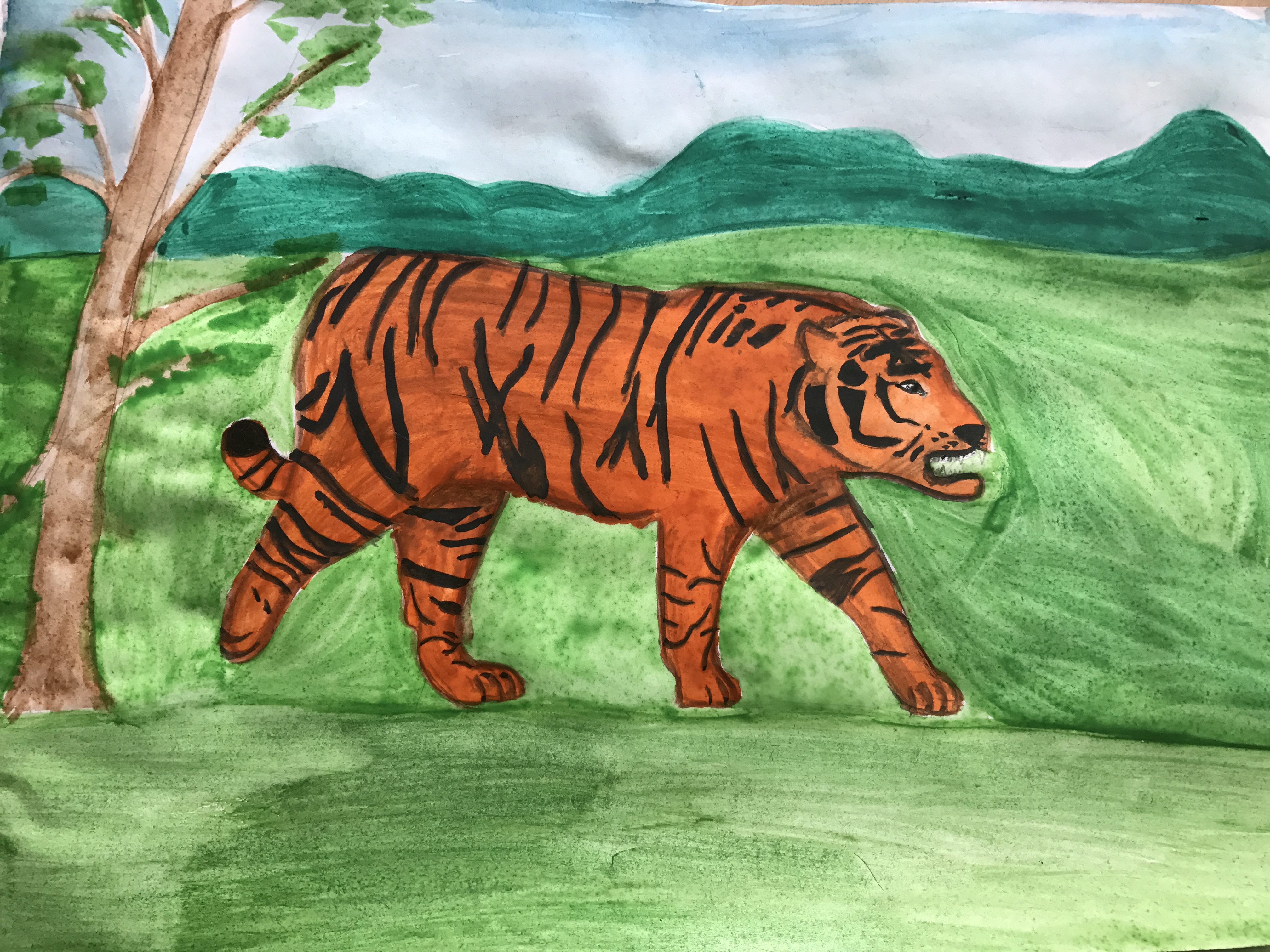 Уссурийский тигр биологический прогресс